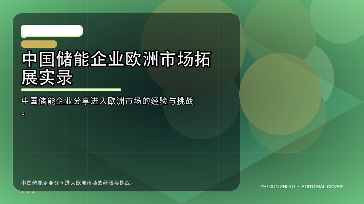 中国储能企业欧洲市场拓展实录