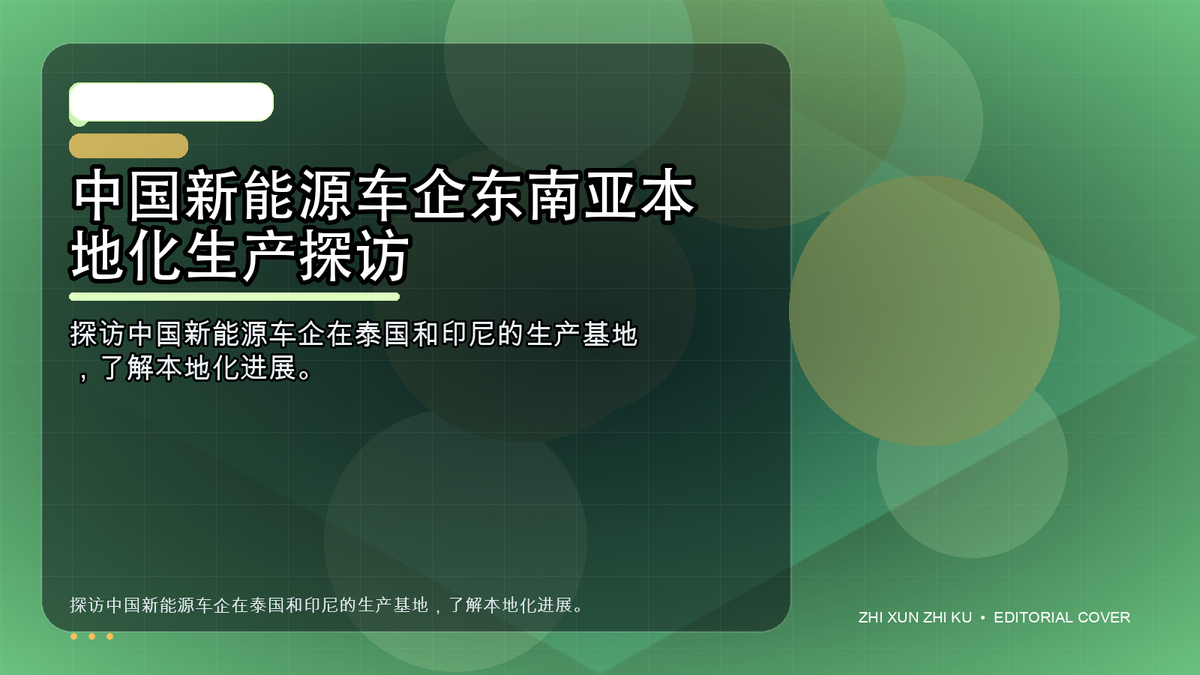 中国新能源车企东南亚本地化生产探访